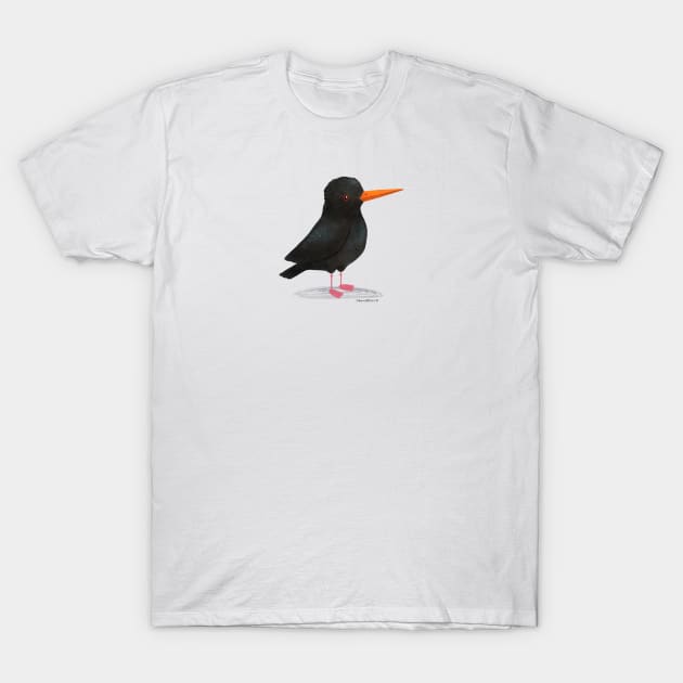 African Oystercatcher Bird T-Shirt by julianamotzko